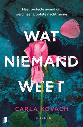 Afbeeldingen van Gina Harte Wat niemand weet