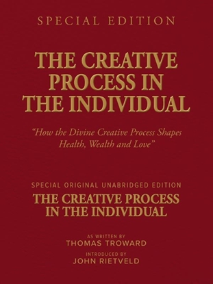 Afbeeldingen van THE CREATIVE PROCESS IN THE INDIVIDUAL