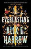 Afbeelding van The Everlasting