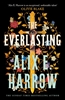 Afbeelding van The Everlasting