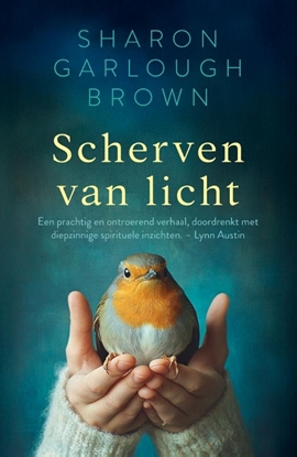 Afbeeldingen van Scherven van licht Scherven van licht