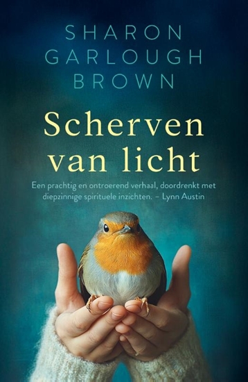 Afbeelding van Scherven van licht Scherven van licht