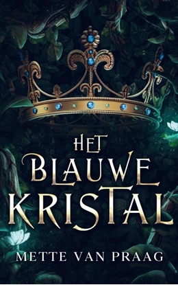 Afbeeldingen van Het blauwe kristal