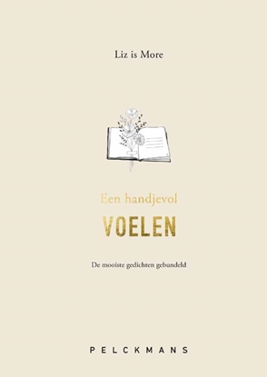 Afbeeldingen van Een handjevol VOELEN