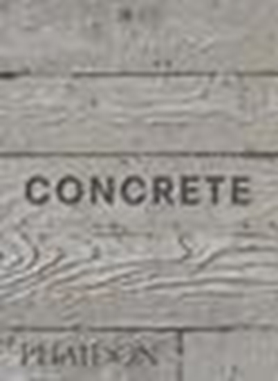 Afbeelding van Phaidon Minis Concrete