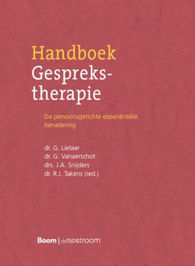 Afbeelding van Handboek gesprekstherapie