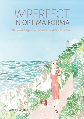 Afbeeldingen van Imperfect in optima forma
