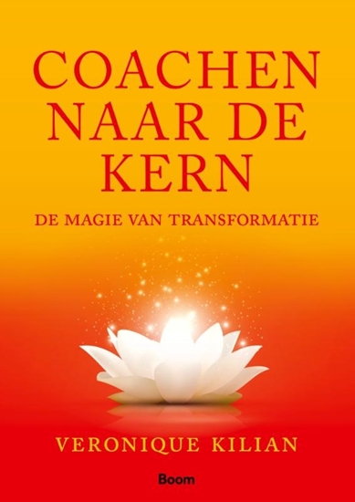 Afbeelding van Coachen naar de kern