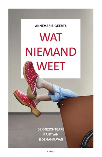 Afbeelding van Wat niemand weet