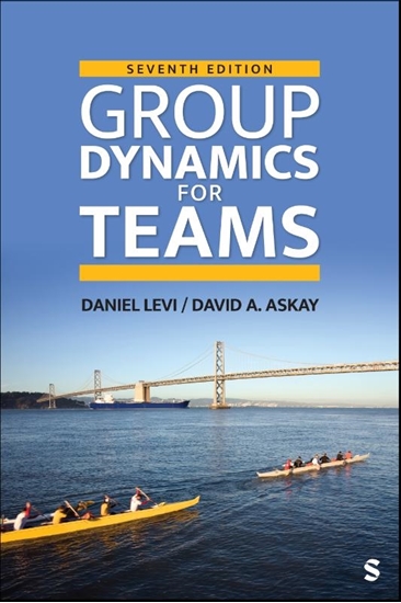 Afbeelding van Group Dynamics for Teams