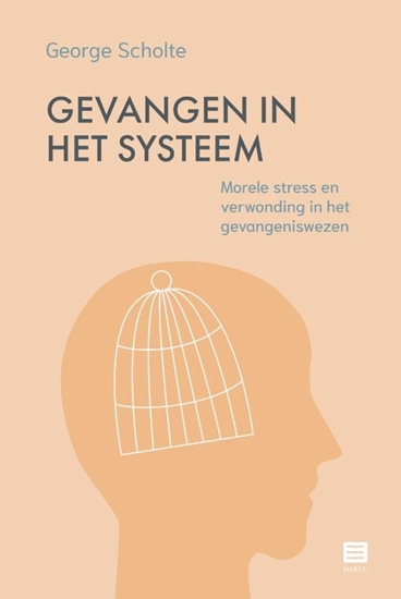 Afbeelding van Gevangen in het systeem