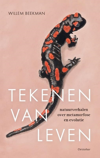 Afbeelding van Tekenen van leven