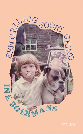 Afbeelding van Een grillig soort grind