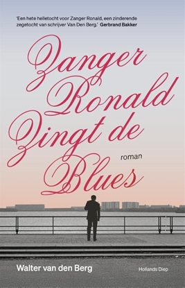 Afbeeldingen van Zanger Ronald zingt de blues