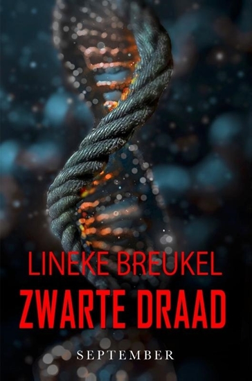 Afbeelding van Zwarte draad
