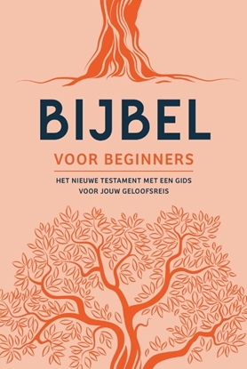 Afbeeldingen van Bijbel voor beginners