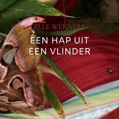 Afbeeldingen van EEN HAP UIT EEN VLINDER