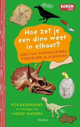 Afbeeldingen van Bliksemlezen Hoe zet je een dino weer in elkaar?