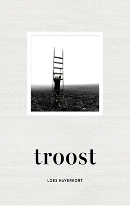 Afbeeldingen van Troost