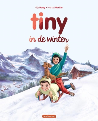 Afbeeldingen van Tiny met glittercover (groot) Tiny in de winter 2025