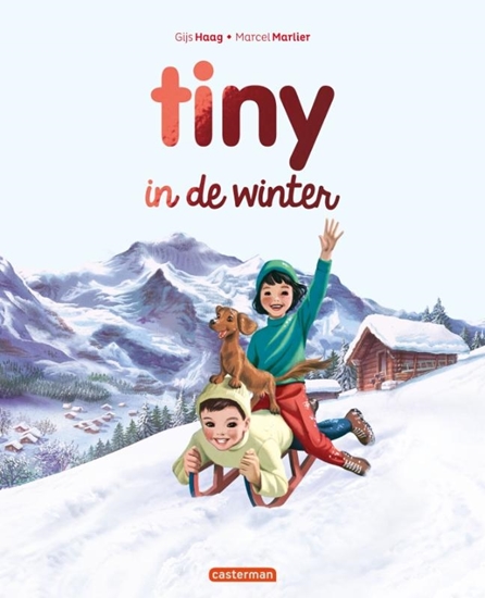 Afbeelding van Tiny met glittercover (groot) Tiny in de winter 2025