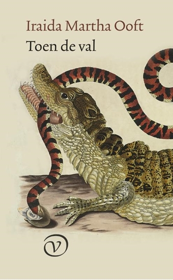 Afbeelding van Toen de val