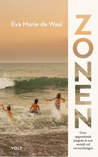 Afbeelding van Zonen