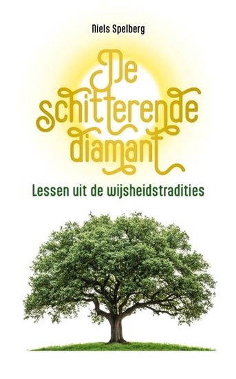 Afbeelding van De schitterende diamant