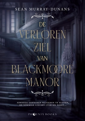 Afbeeldingen van De verloren ziel van Blackmoore Manor