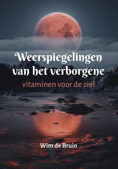 Afbeelding van Weerspiegelingen van het verborgene