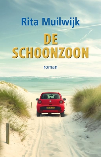 Afbeelding van De schoonzoon