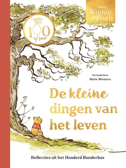 Afbeelding van Winnie de Poeh. De kleine dingen van het leven