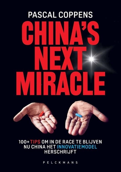 Afbeelding van China's Next Miracle
