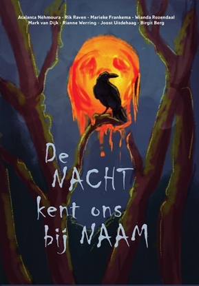 Afbeeldingen van De nacht kent ons bij naam