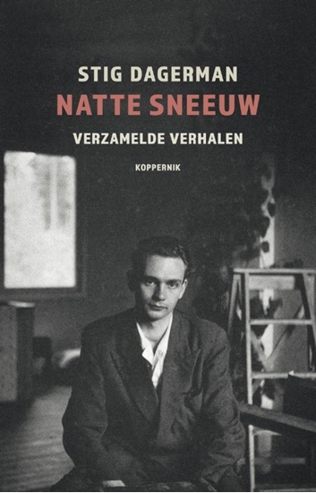 Afbeelding van Natte sneeuw