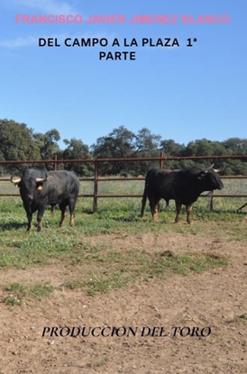 Afbeeldingen van DEL CAMPO A LA PLAZA 1ª PARTE