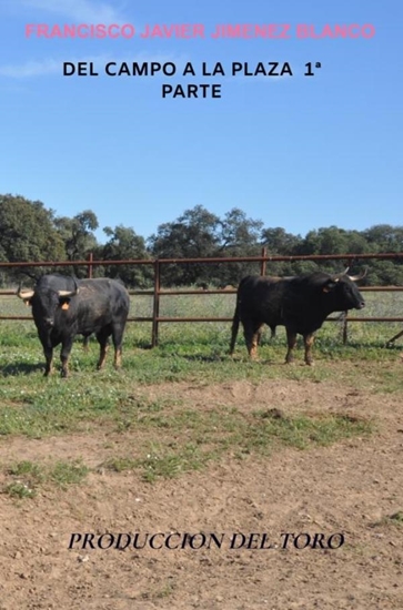 Afbeelding van DEL CAMPO A LA PLAZA 1ª PARTE