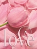 Afbeelding van Gastenboek bruiloft LOVE luxe hardcover voor 250 gasten