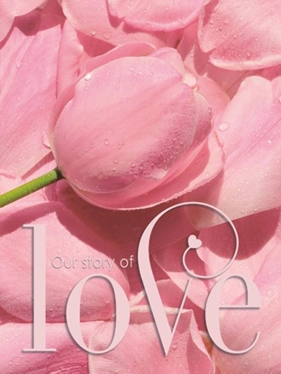 Afbeeldingen van Gastenboek bruiloft LOVE luxe hardcover voor 250 gasten