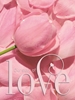 Afbeelding van Gastenboek bruiloft LOVE luxe hardcover voor 250 gasten