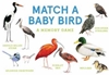 Afbeelding van Match a Baby Bird