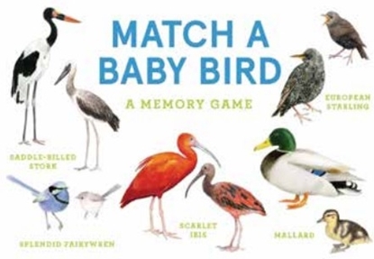 Afbeeldingen van Match a Baby Bird