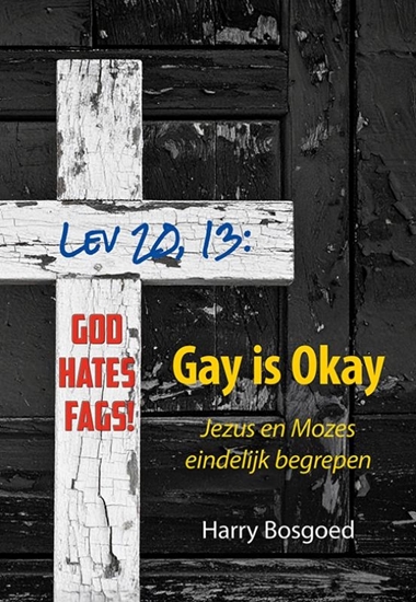 Afbeelding van Gay is okay