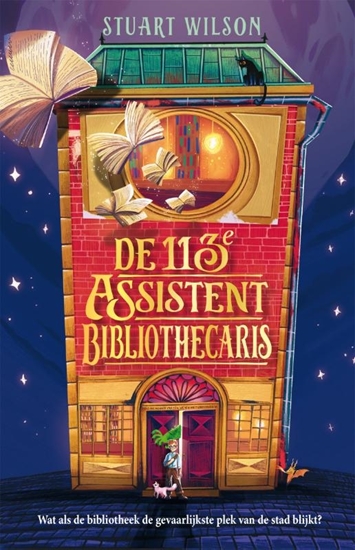 Afbeelding van De 113e assistent-bibliothecaris