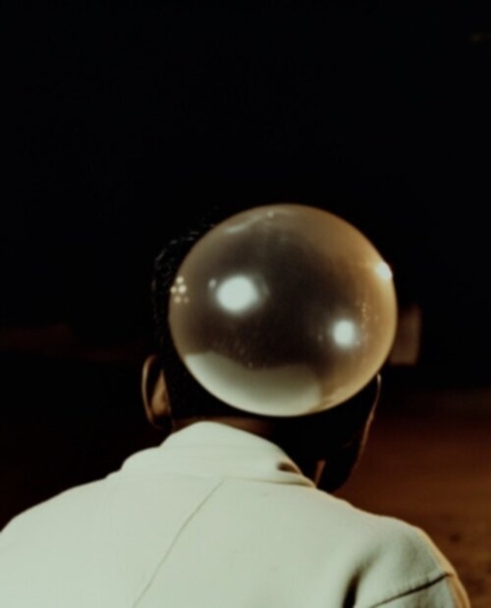 Afbeelding van Elephant in the Room