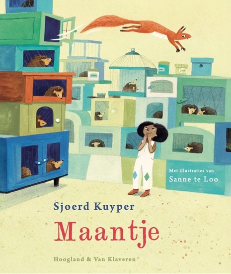 Afbeelding van Maantje