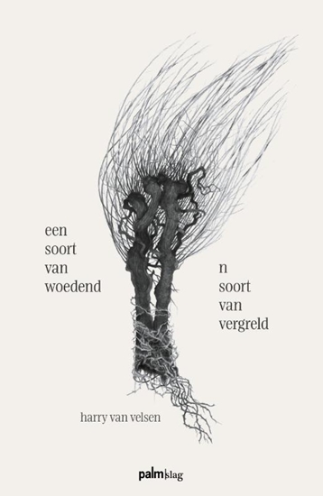 Afbeelding van een soort van woedend - n soort van vergreld