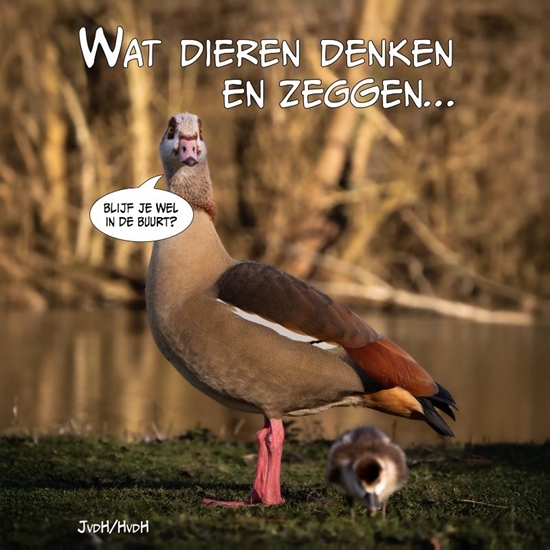 Afbeelding van Wat dieren denken en zeggen