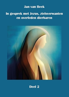 Afbeeldingen van In gesprek met Jezus, gidsen, zielsverwanten en overleden dierbaren In gesprek met Jezus, gidsen, zielsverwanten en overleden dierbaren
