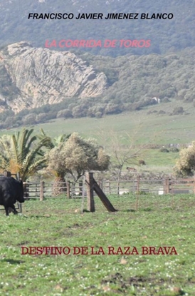 Afbeeldingen van LA CORRIDA DE TOROS
